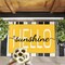 Hello Sunshine Door Mat Summer Doormat 17 X 29 Inch Yellow Doormat Decorative Entrance Mat Non-Slip Rubber Backing Floor Mat Washable Seasonal Welcome Rugs for Indoor Outdoor
